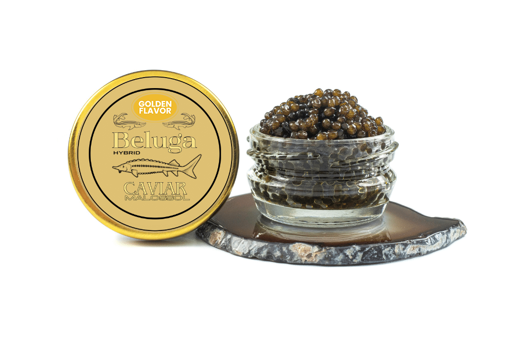 Beluga Caviar Hybrid
