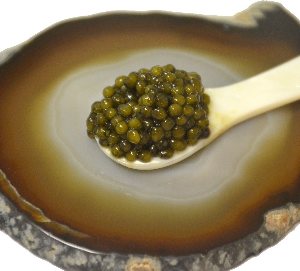 Beluga Caviar Hybrid
