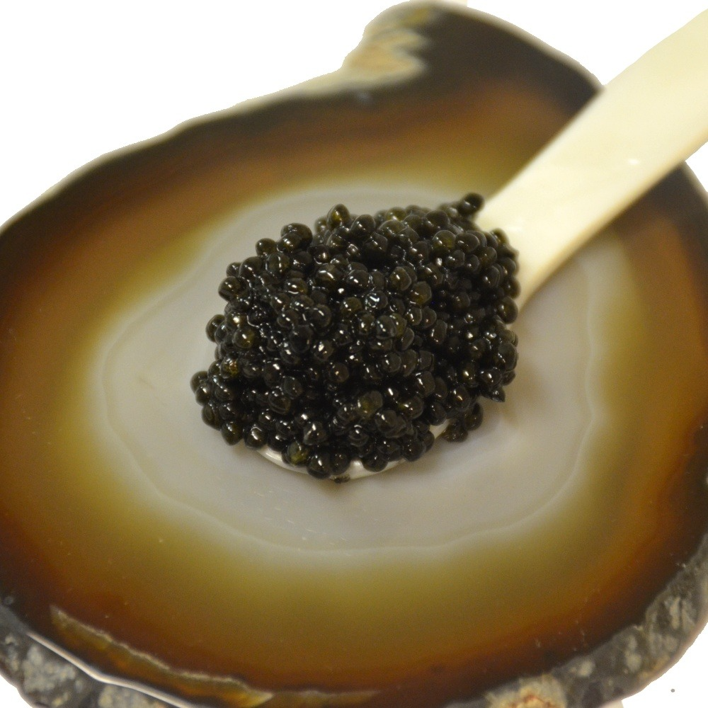 Hackleback Sturgeon Caviar Gift Set