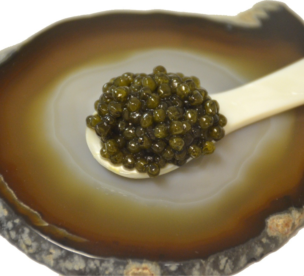 Osetra Caviar